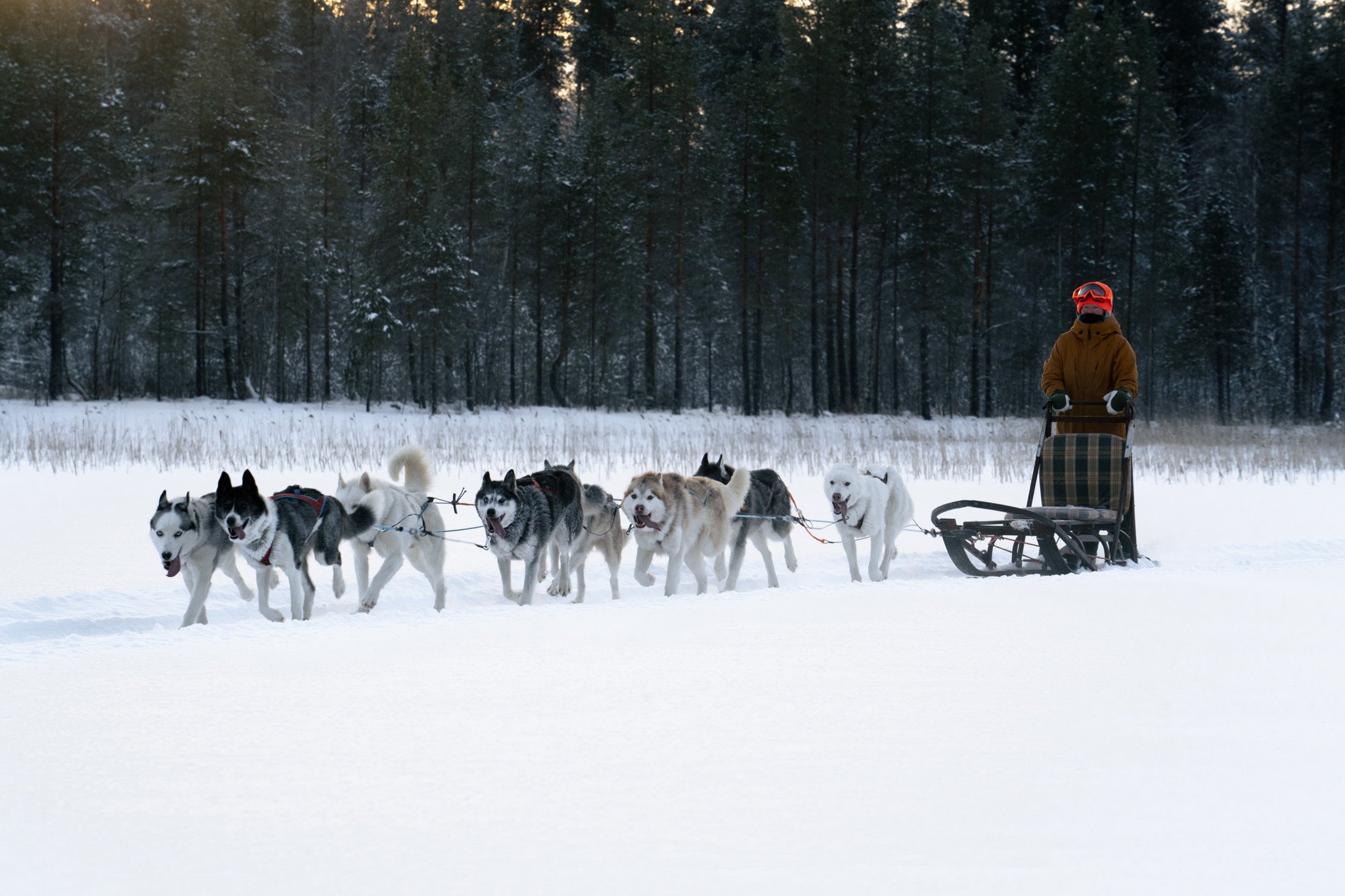 Svartskogen Experience